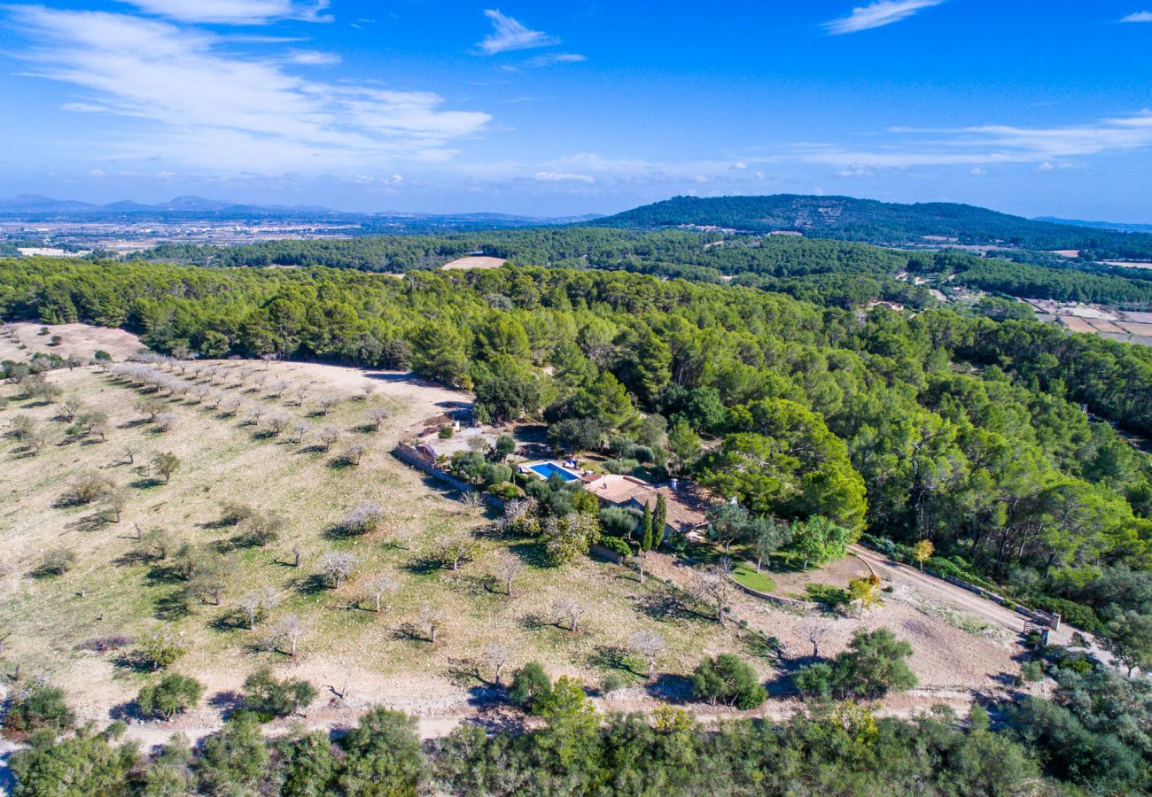 Finca in Sant Joan - Ländliche Finca mit Pool Sa Bastida auf Mallorca