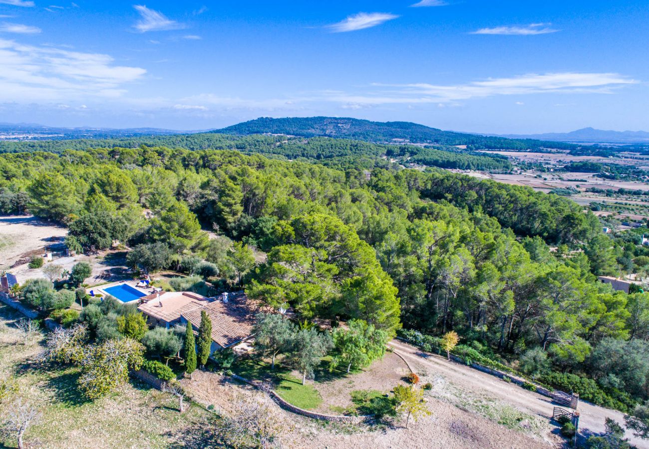 Finca in Sant Joan - Ländliche Finca mit Pool Sa Bastida auf Mallorca