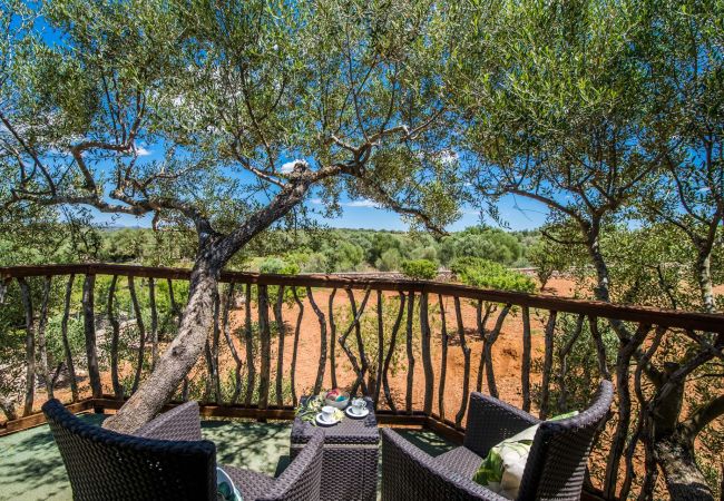 Finca in Ariany - Finca Sa Canova Ariany modern mit pool Mallorca Finca in Ariany - Finca Sa Canova Ariany modern mit pool Mallorca