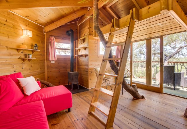 Finca in Ariany - Finca Sa Canova Ariany modern mit pool Mallorca Finca in Ariany - Finca Sa Canova Ariany modern mit pool Mallorca