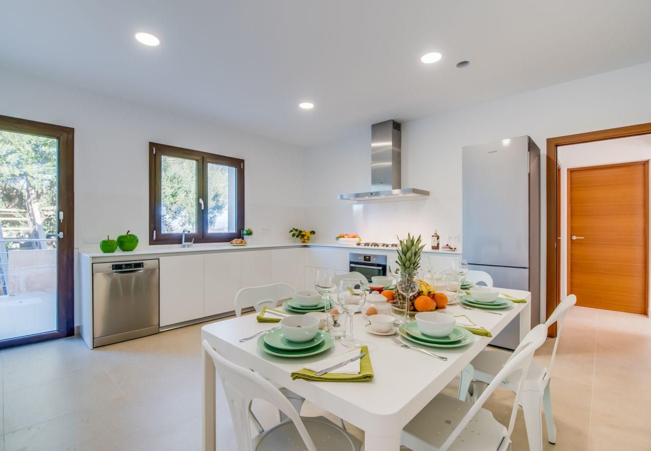 Finca in Ariany - Finca Sa Canova Ariany modern mit pool Mallorca