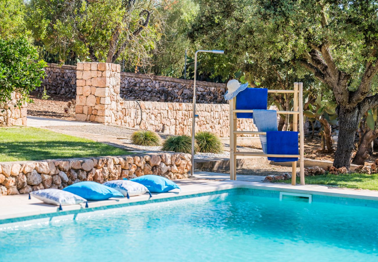 Finca in Ariany - Finca Sa Canova Ariany modern mit pool Mallorca
