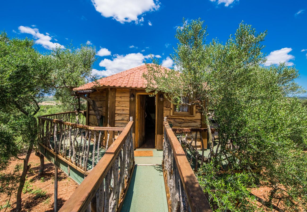 Ländliche Finca auf Mallorca mit Pool, Grill und Baumhaus