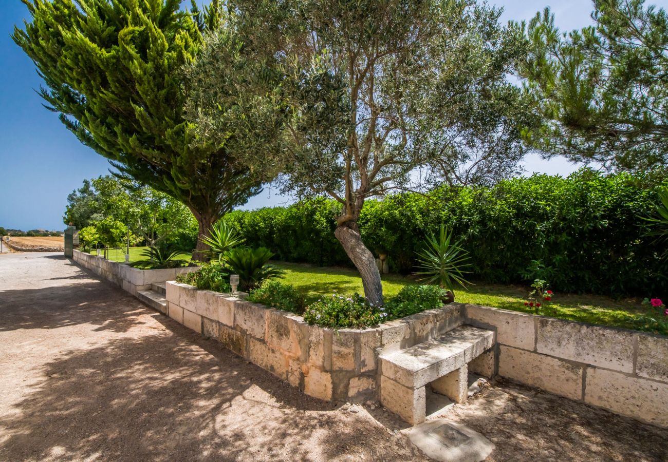 Finca in Santa Margalida - ☼ Privat gelegene Finca mit eigenem Pool