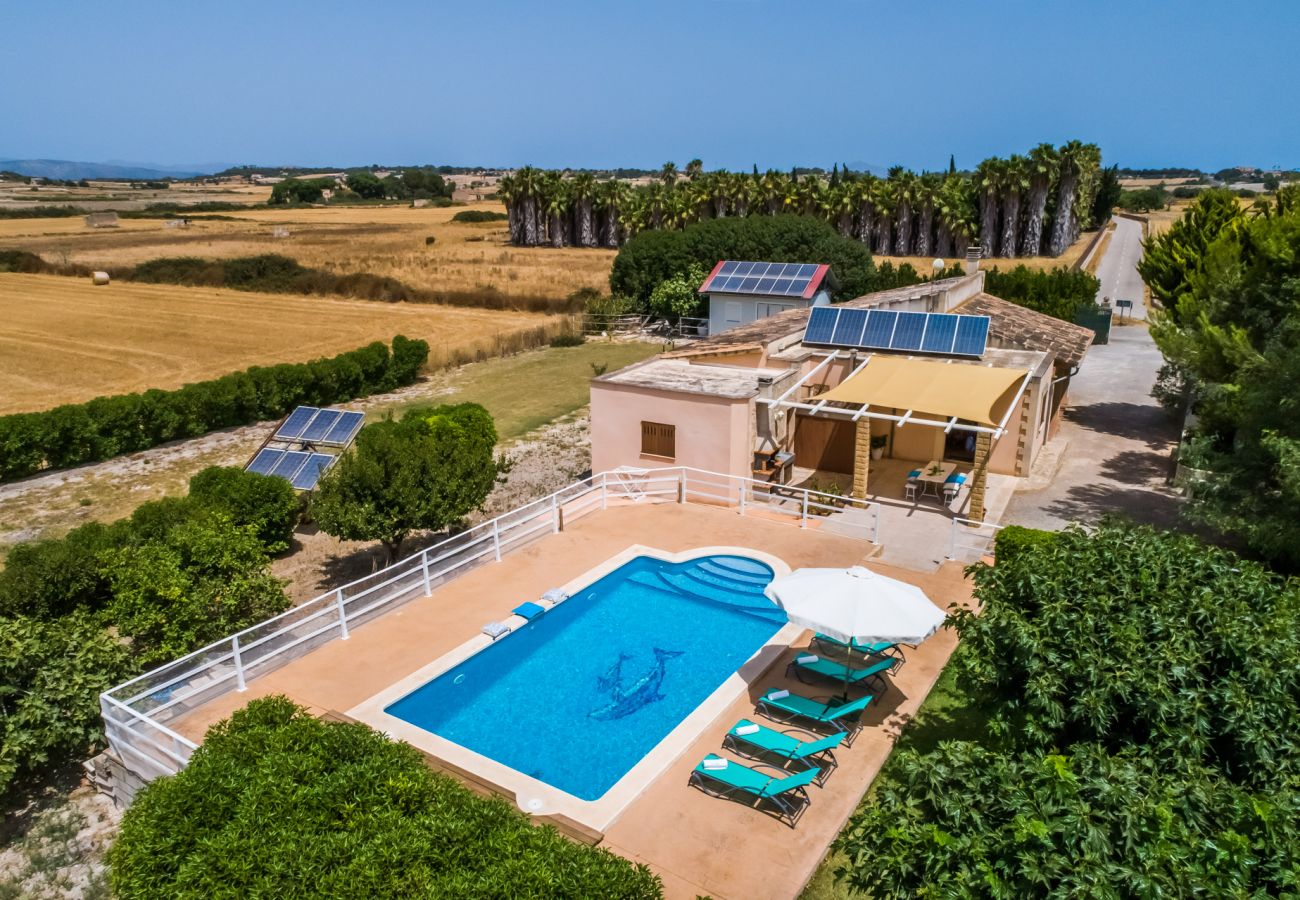 Finca in Santa Margalida - ☼ Privat gelegene Finca mit eigenem Pool