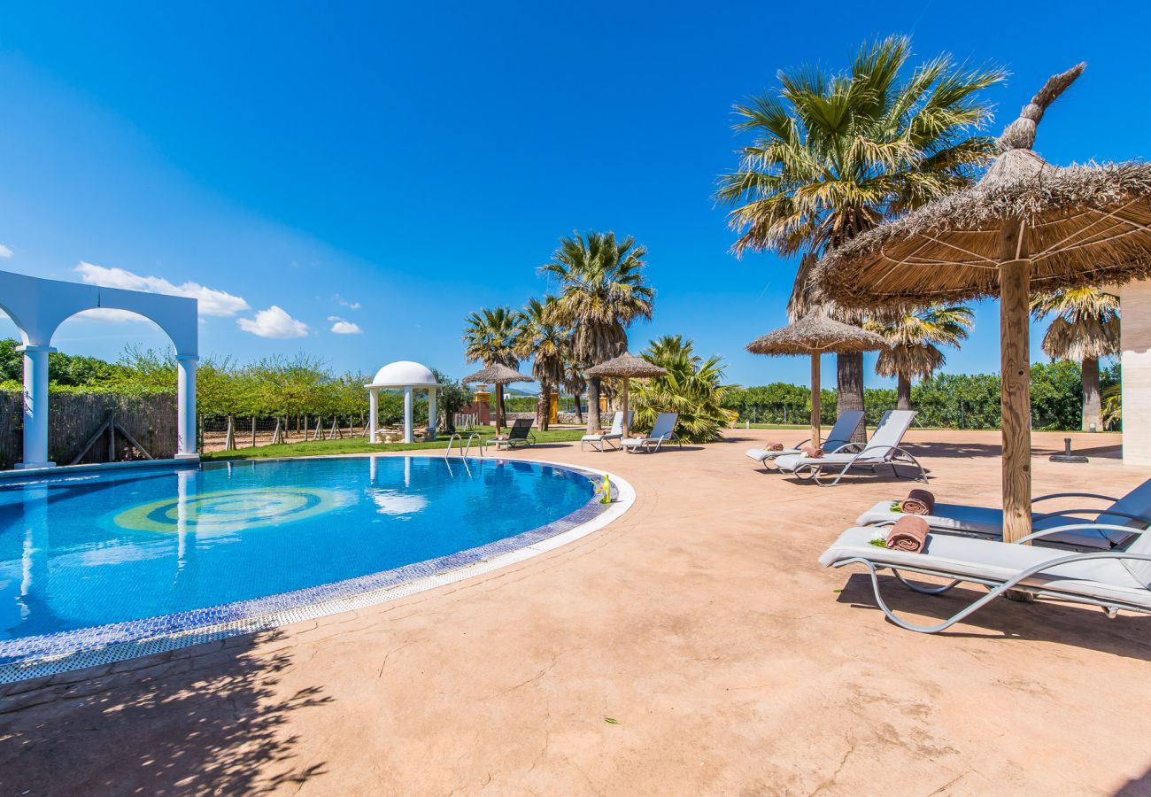 Finca in Sa Pobla - Finca Son Manyo 223 mit Pool auf Mallorca