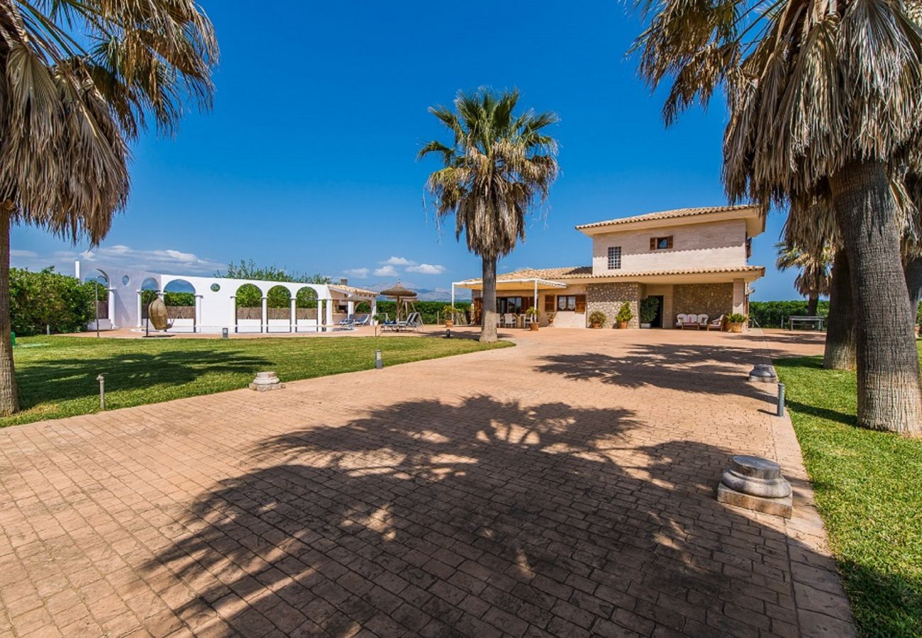 Finca in Sa Pobla - Finca Son Manyo 222 mit Pool auf Mallorca