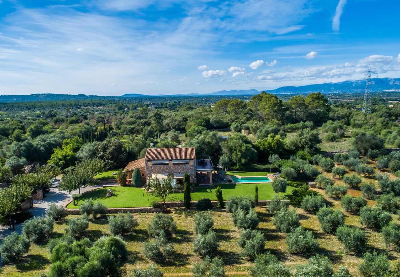 Finca in Llubi - Moderne Finca in Natur Son Rusinyol Pool Mallorca