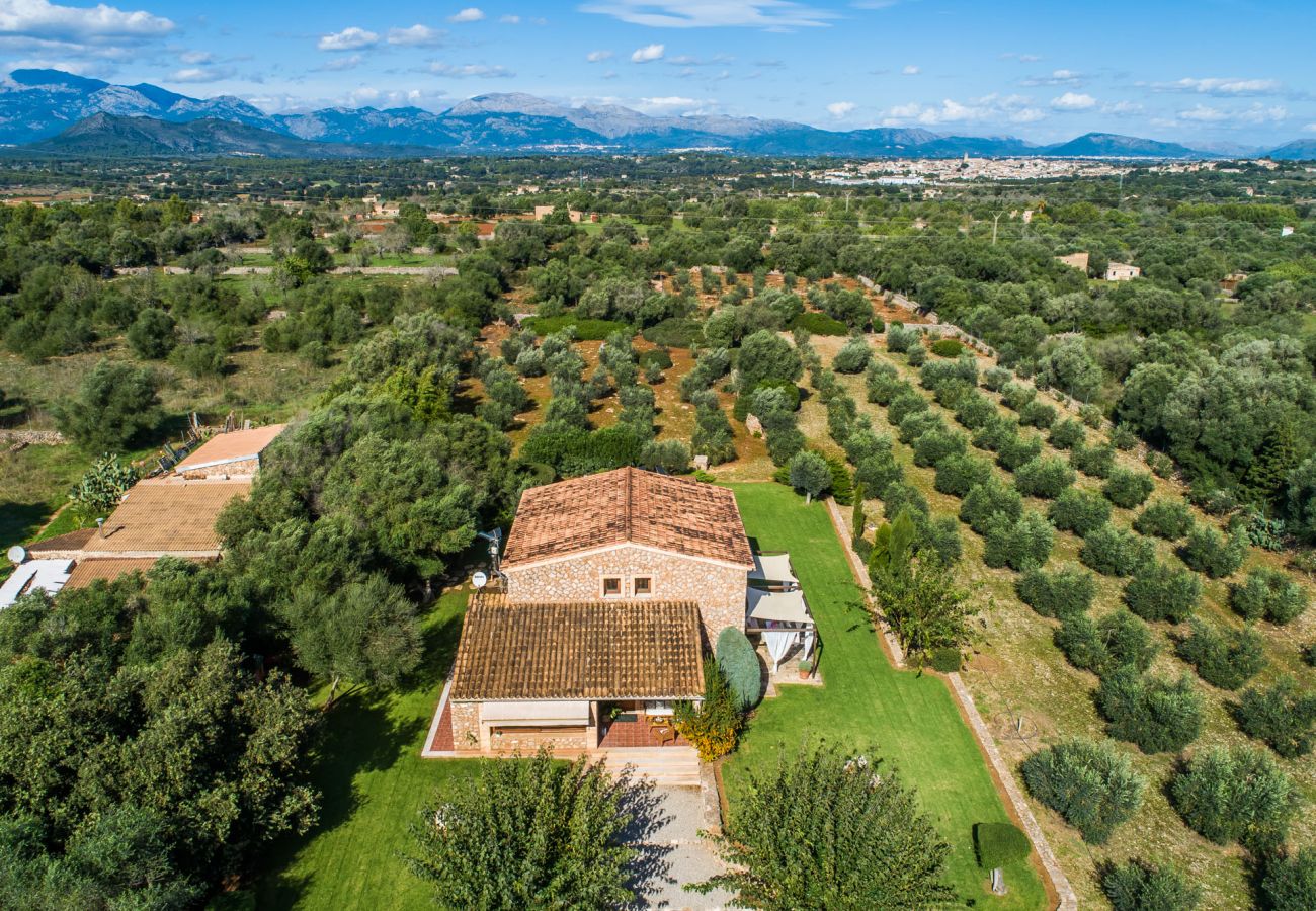 Finca in Llubi - Moderne Finca in Natur Son Rusinyol Pool Mallorca