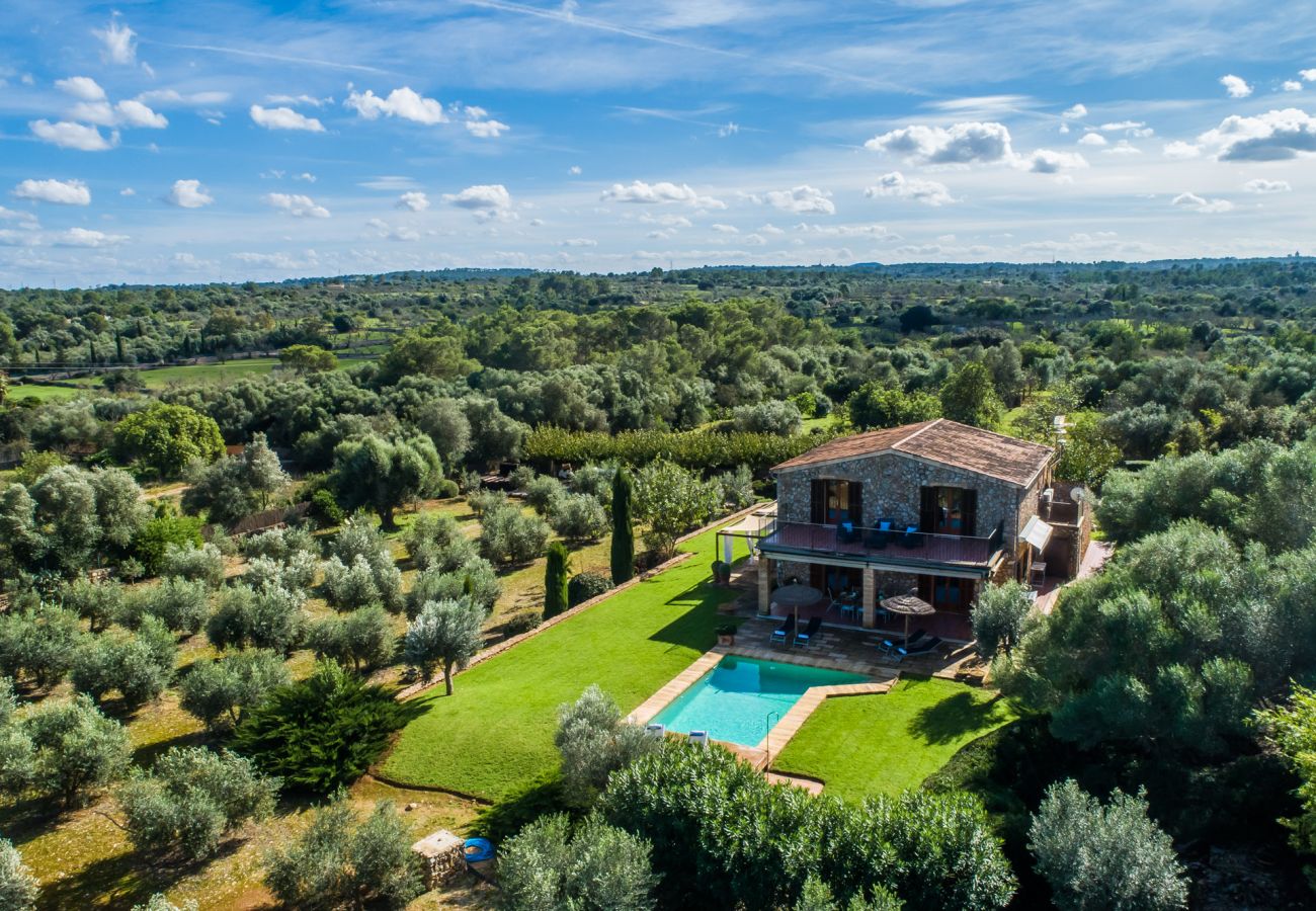 Finca in Llubi - Moderne Finca in Natur Son Rusinyol Pool Mallorca