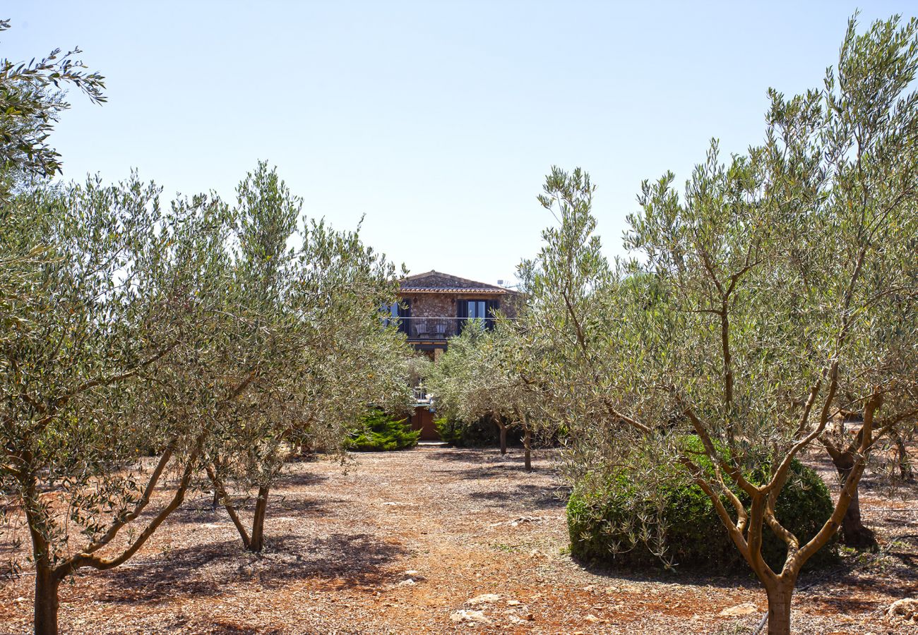 Finca in Llubi - Moderne Finca in Natur Son Rusinyol Pool Mallorca