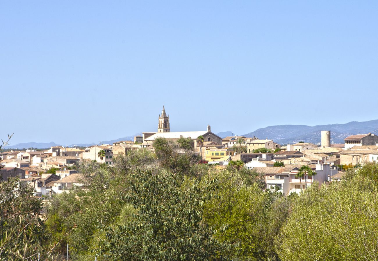 Finca in Llubi - Moderne Finca in Natur Son Rusinyol Pool Mallorca