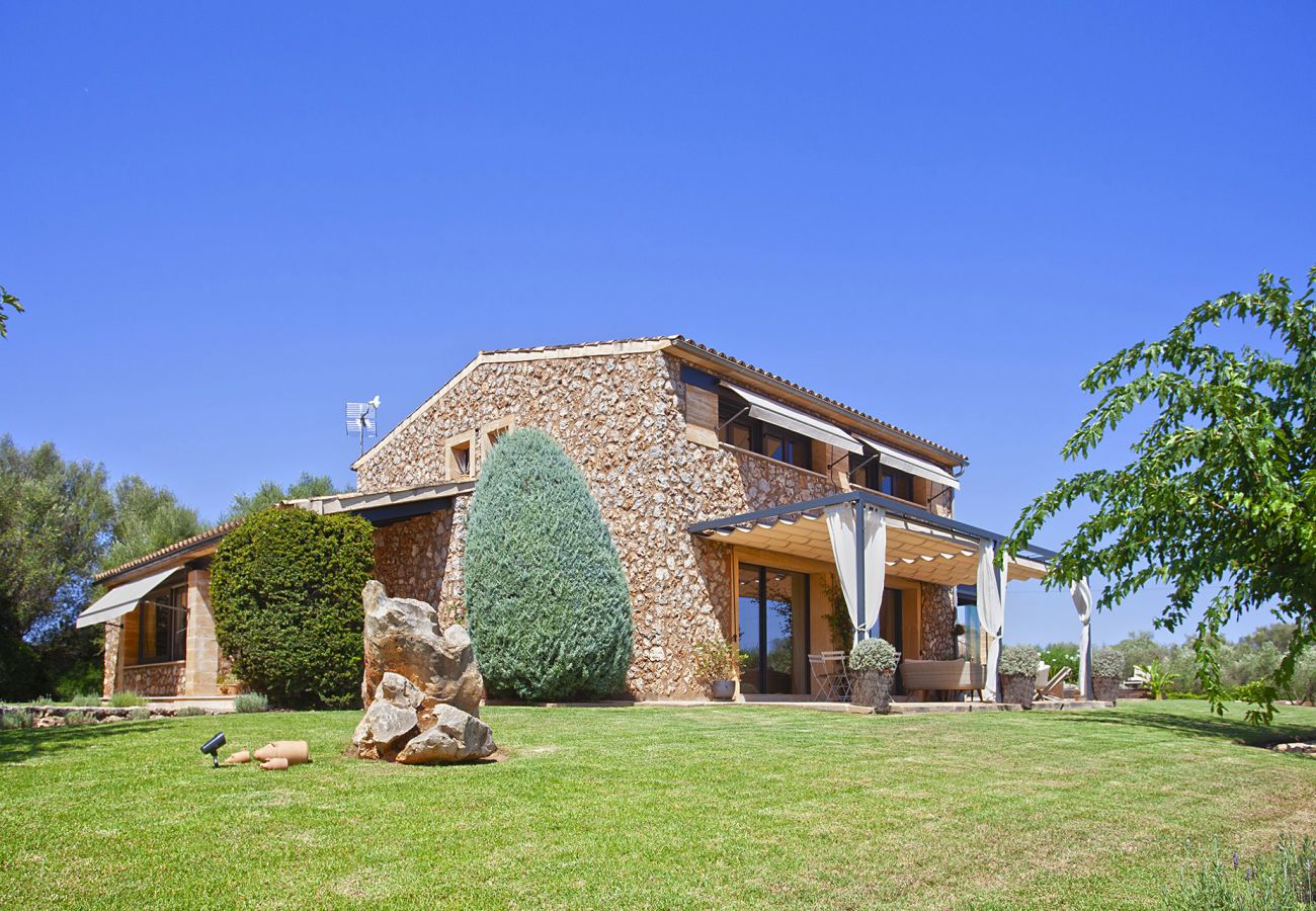 Finca in Llubi - Moderne Finca in Natur Son Rusinyol Pool Mallorca