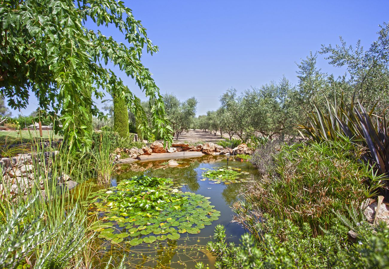 Finca in Llubi - Moderne Finca inmitten der Natur Son Rusinyol mit Pool auf Mallorca