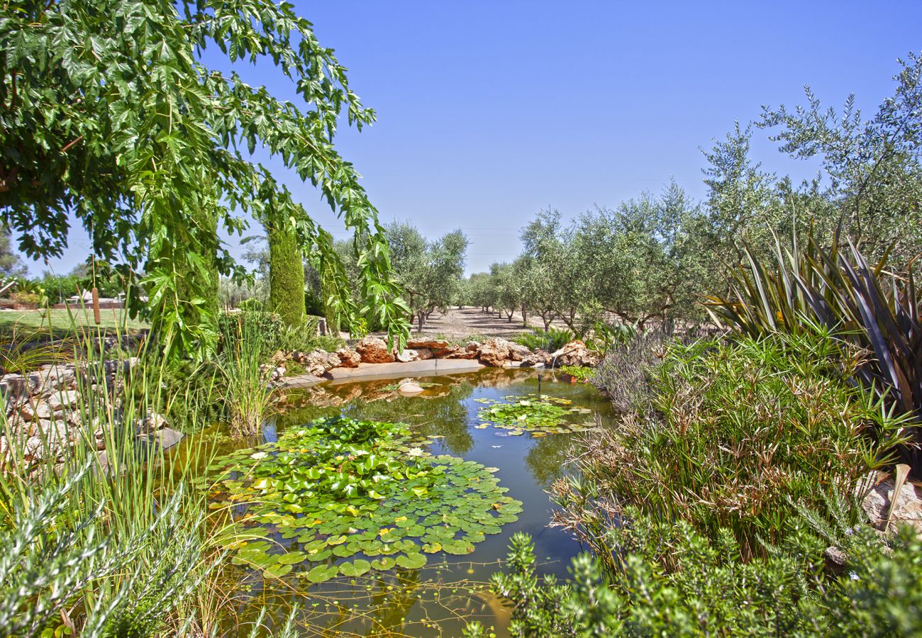 Finca in Llubi - Moderne Finca in Natur Son Rusinyol Pool Mallorca