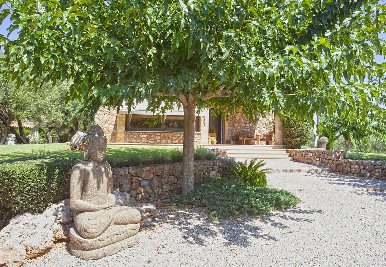 Finca in Llubi - Moderne Finca in Natur Son Rusinyol Pool Mallorca