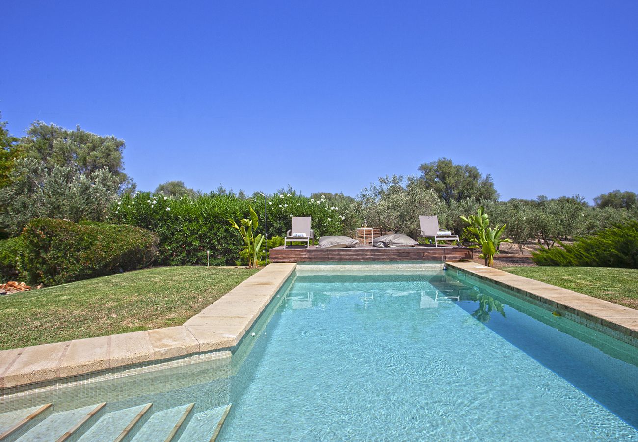 Finca in Llubi - Moderne Finca in Natur Son Rusinyol Pool Mallorca