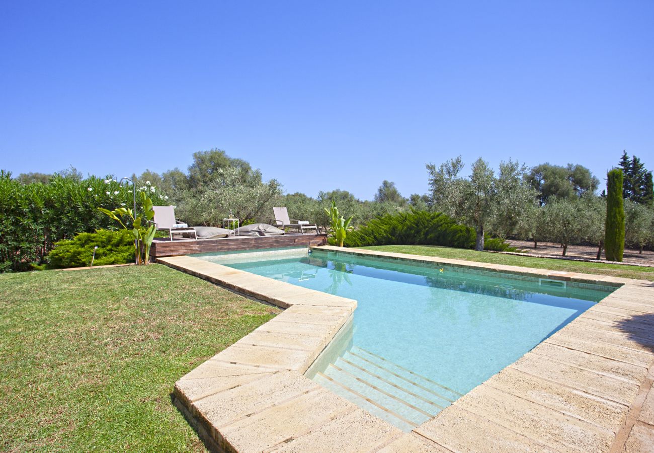 Finca in Llubi - Moderne Finca in Natur Son Rusinyol Pool Mallorca