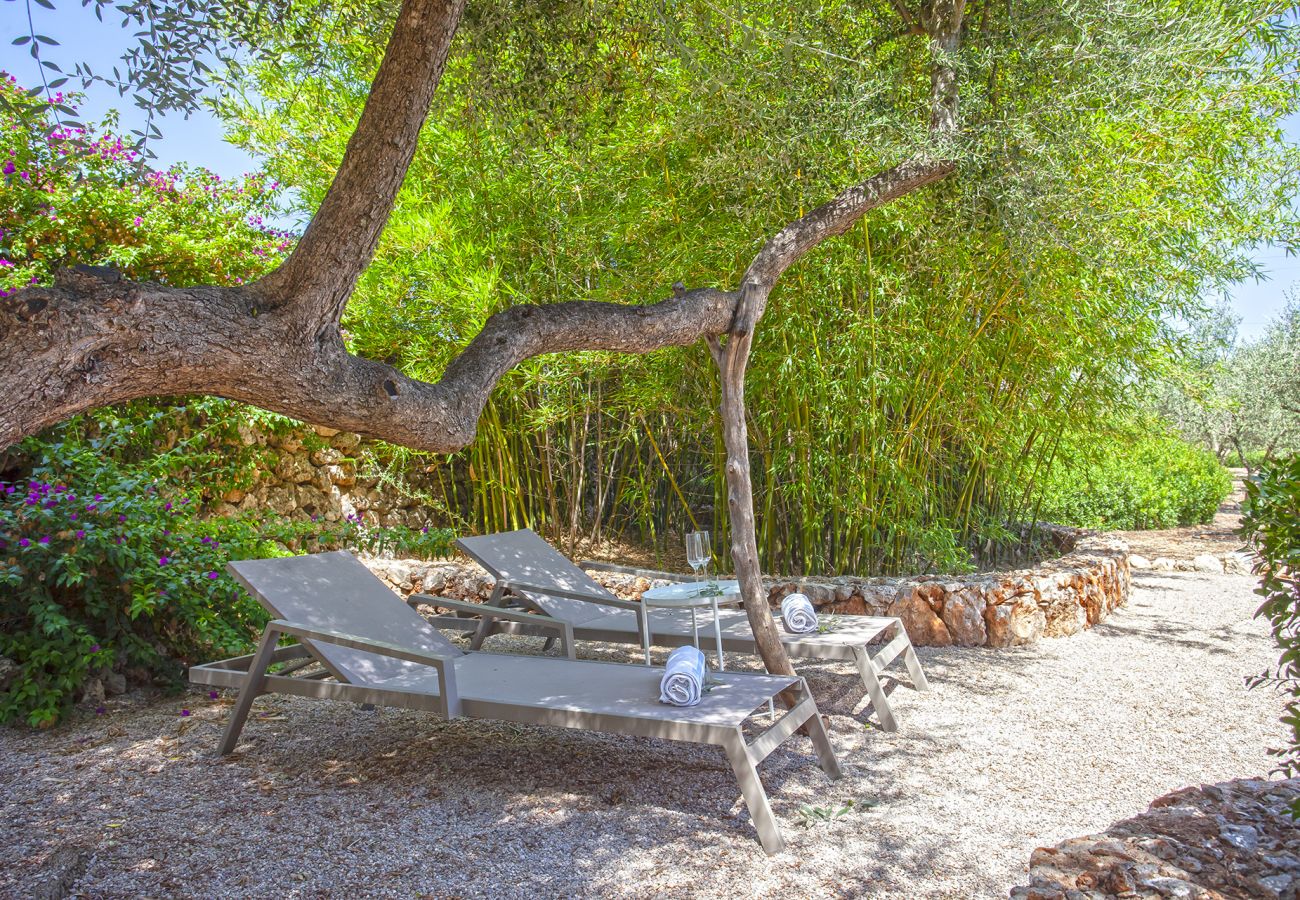 Finca in Llubi - Moderne Finca inmitten der Natur Son Rusinyol mit Pool auf Mallorca