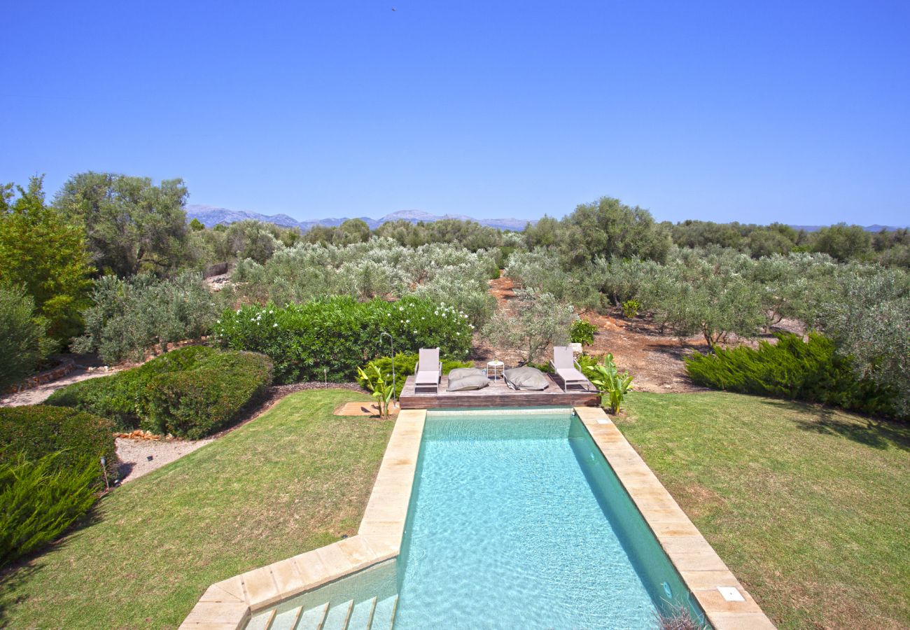 Finca in Llubi - Moderne Finca in Natur Son Rusinyol Pool Mallorca