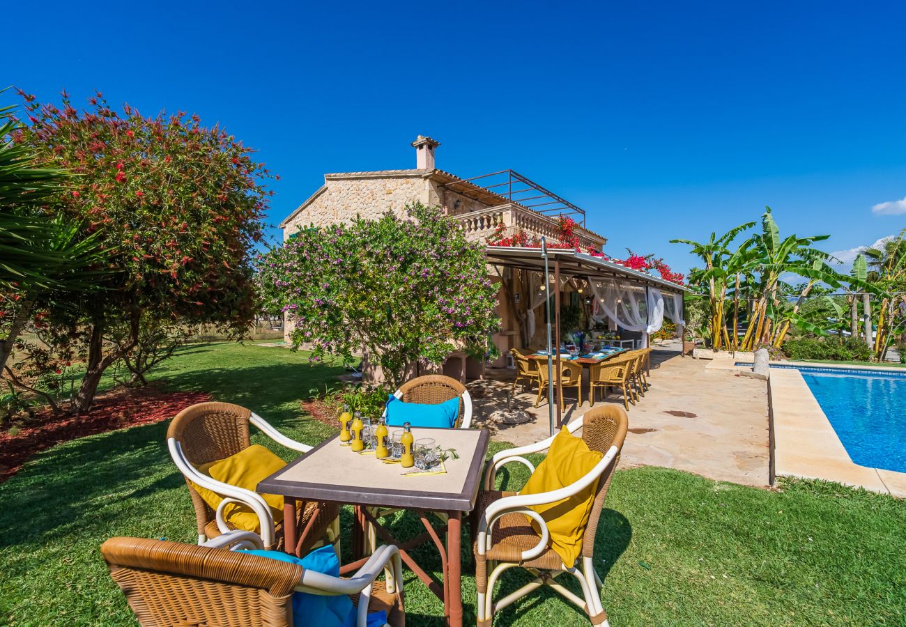 Finca in Pollensa - Finca en Pollensa Can Carabassot mit Pool 