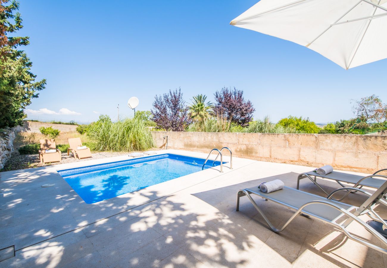 Ferienhaus in Maria de la salut - Modernes Haus mit Pool Son Puig auf Mallorca