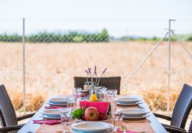 Finca in Sa Pobla - Nachhaltige Finca Sa Vela de Son Puig auf Mallorca 