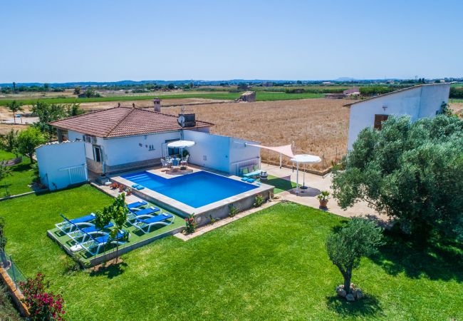 Finca in Sa Pobla - Nachhaltige Finca Sa Vela de Son Puig auf Mallorca 