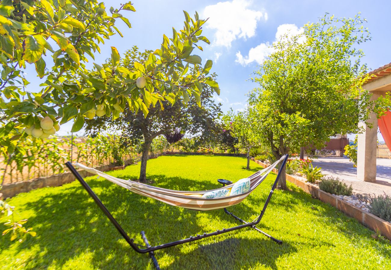 Haus mit Terrasse, Grill und Schwimmbad auf Mallorca