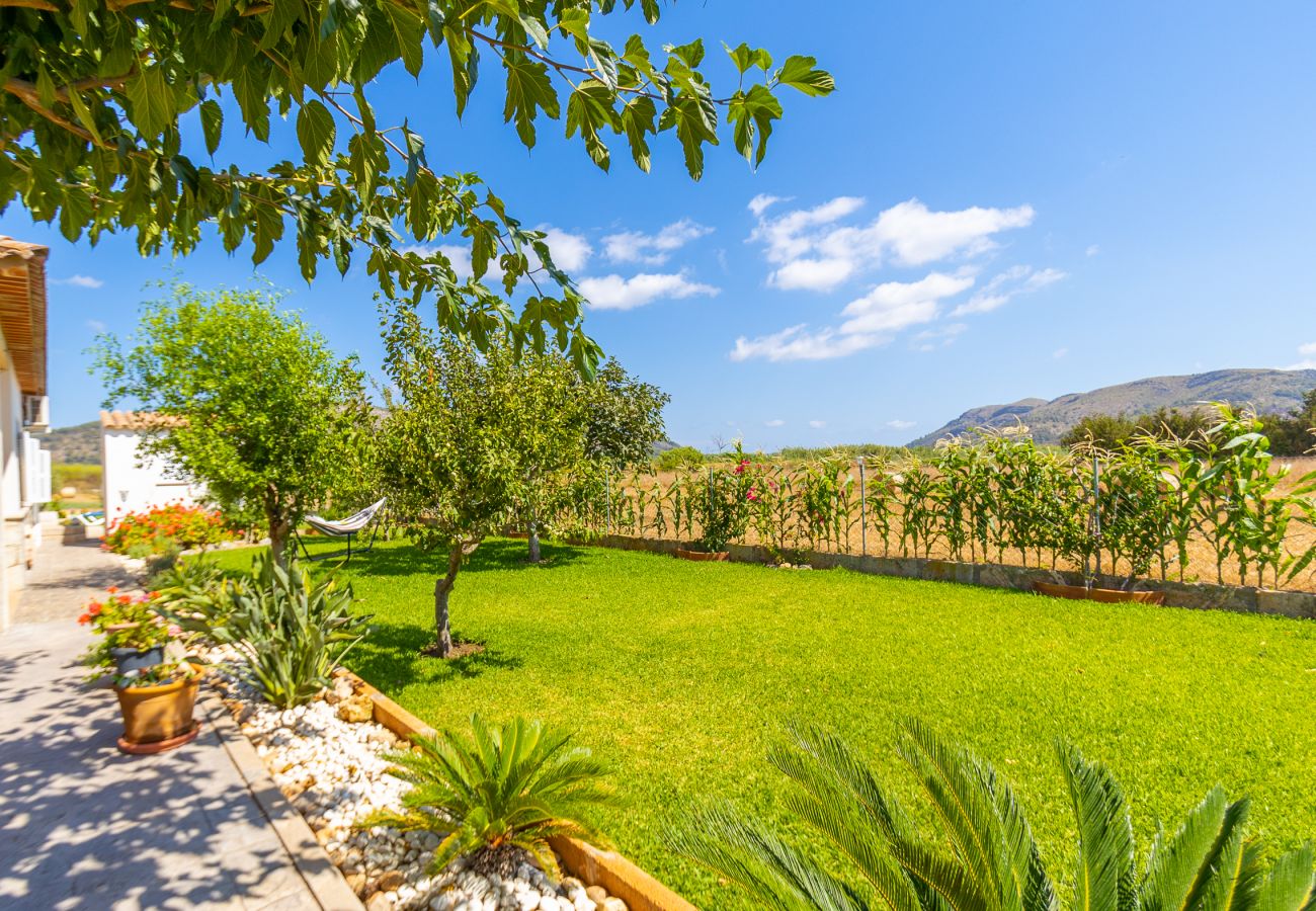 Finca in Sa Pobla - Nachhaltige Finca Sa Vela de Son Puig auf Mallorca 