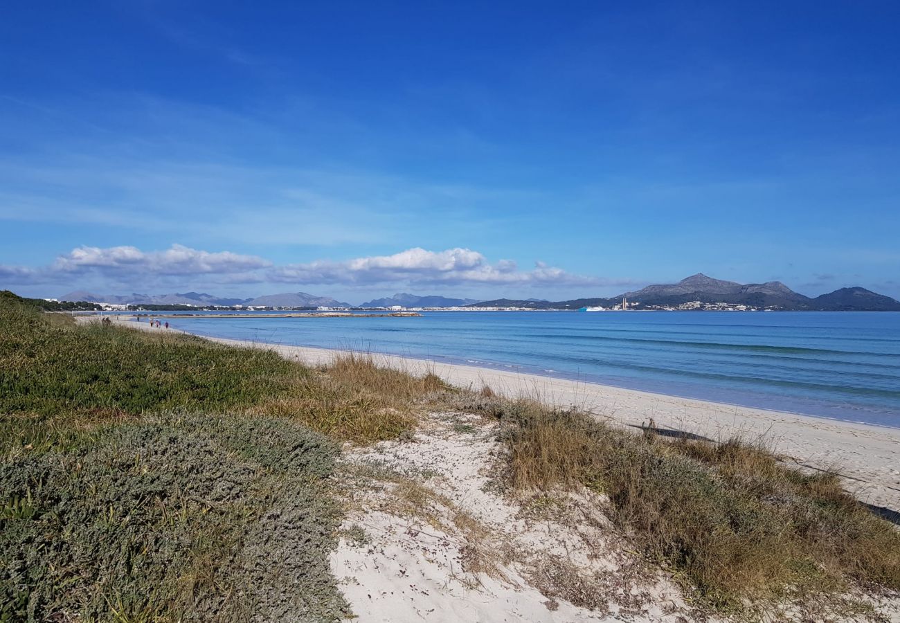 Finca in Sa Pobla - Nachhaltige Finca Sa Vela de Son Puig auf Mallorca 