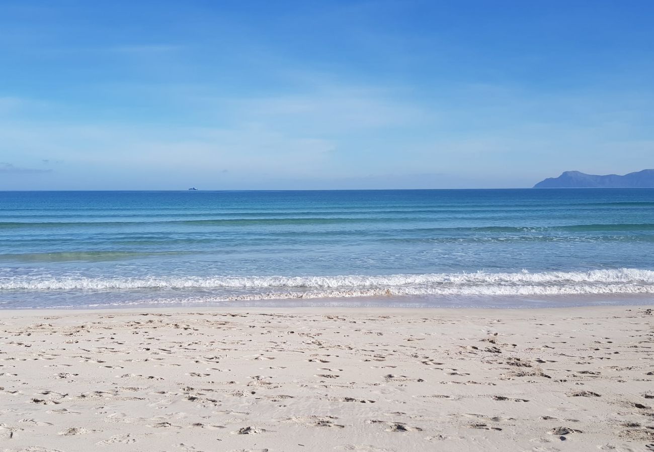 Finca in Sa Pobla - Nachhaltige Finca Sa Vela de Son Puig auf Mallorca 