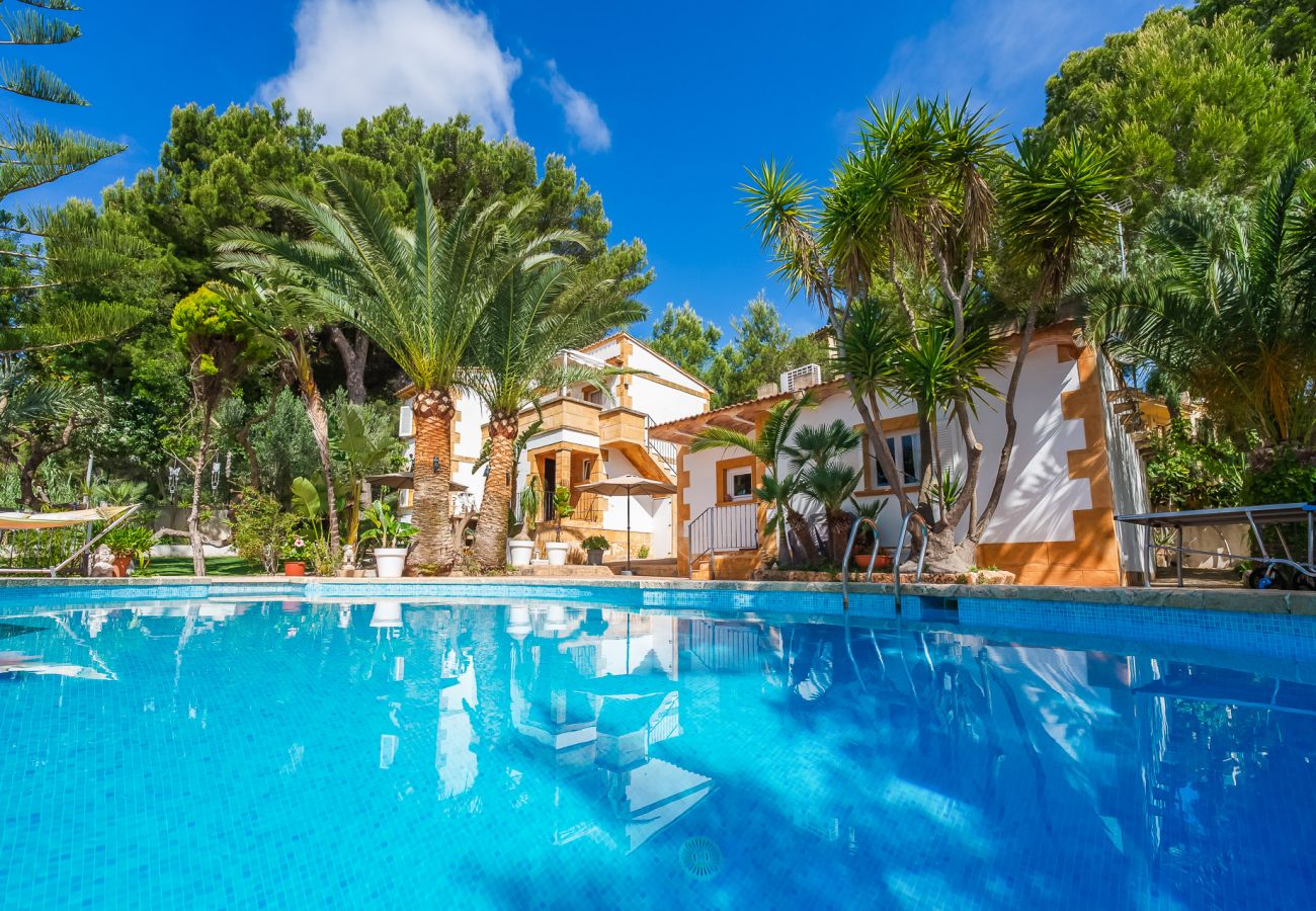 Ferienwohnung in Cala Mesquida - Wohnung Sol de Mallorca 1 mit Pool 