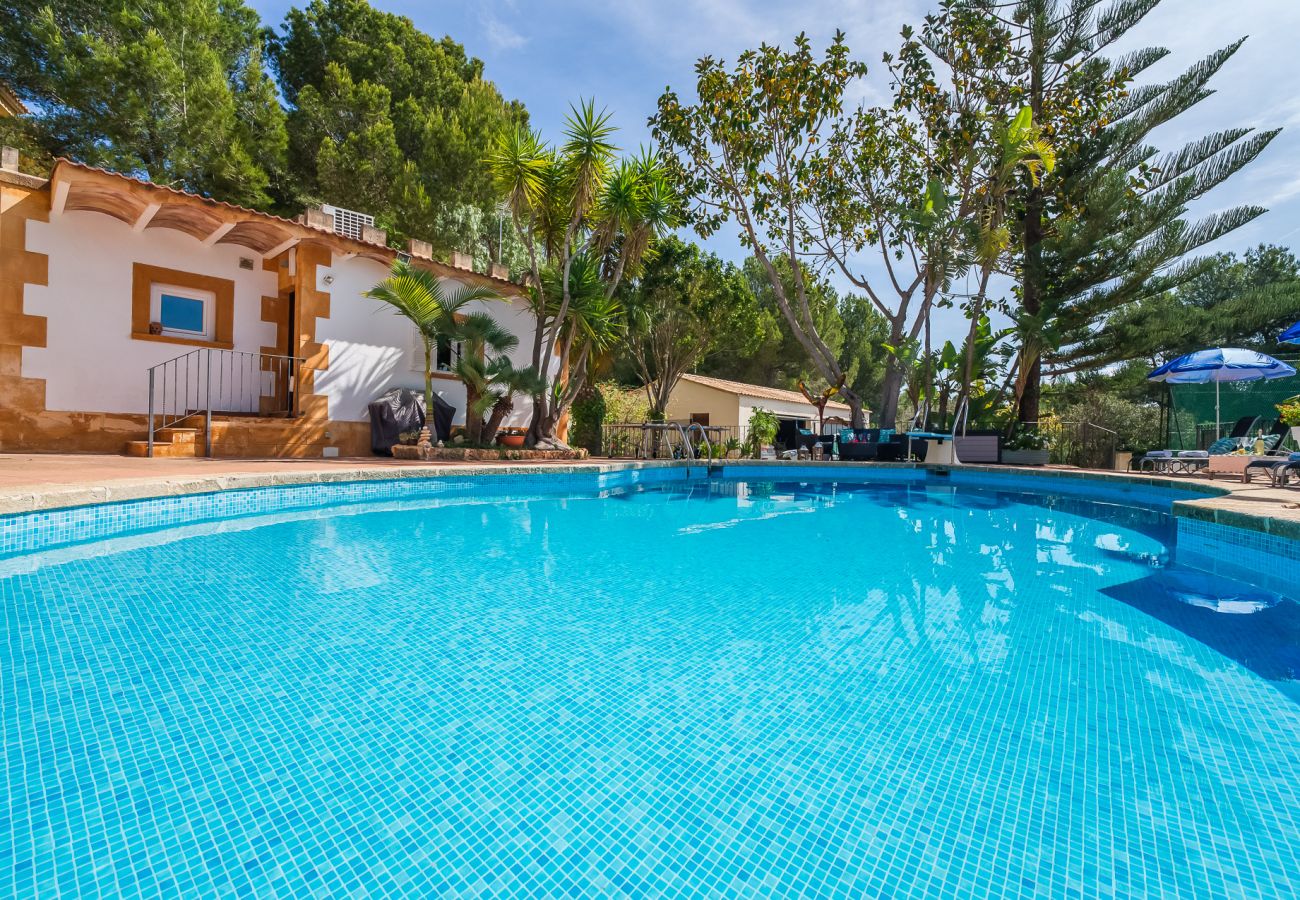 Ferienwohnung in Cala Mesquida - Wohnung Strandnähe Sol de Mallorca 2 mit Pool 