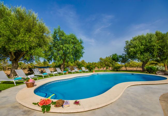 Finca in Santa Margalida - Finca Vernissa bei Can Picafort mit Privatpool Finca in Santa Margalida - Finca Vernissa bei Can Picafort mit Privatpool