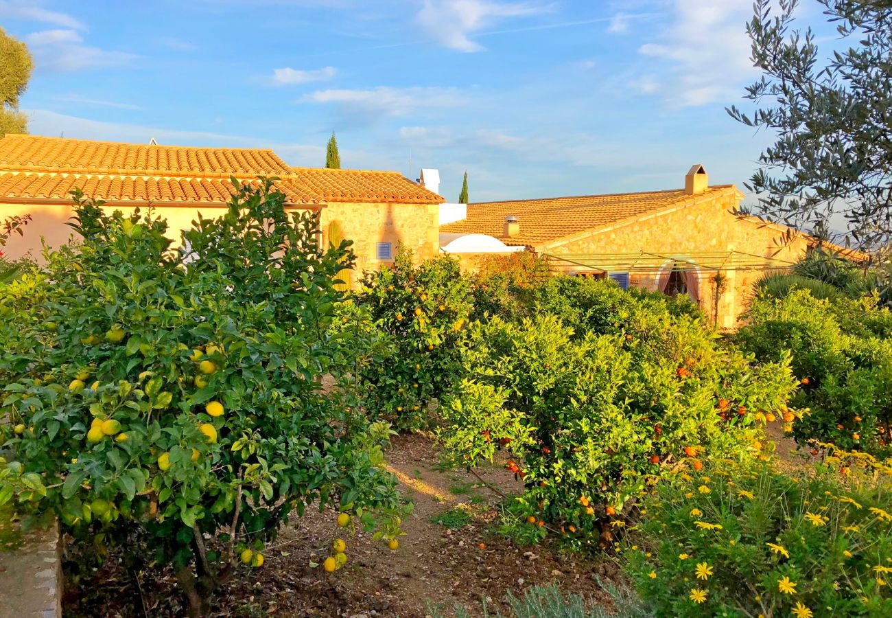 Finca in Arta - Luxuriöse Finca Mallorca mit Pool Panoramablick