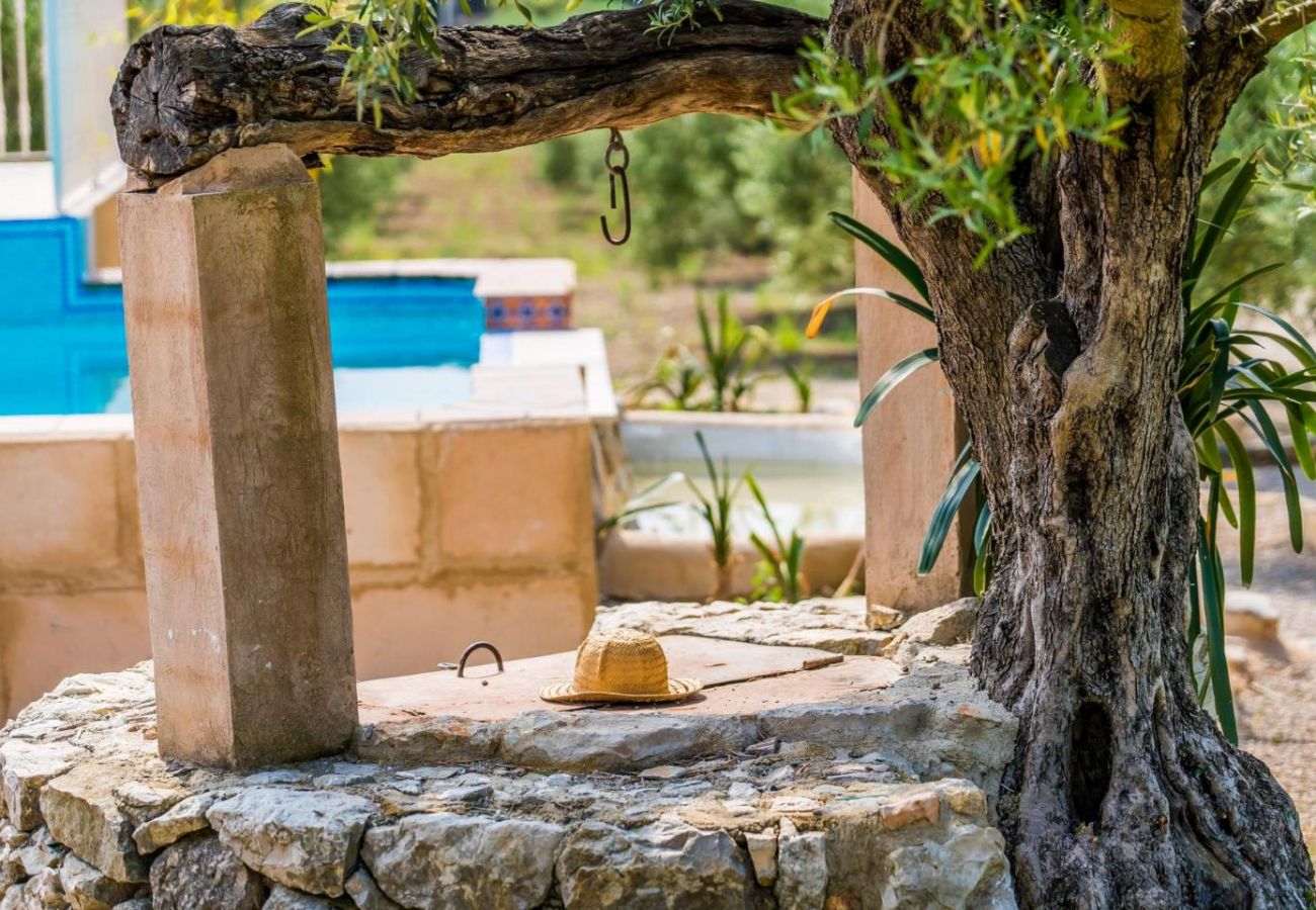 Finca in Selva - Landhaus in Mallorca Ses Comes mit Pool