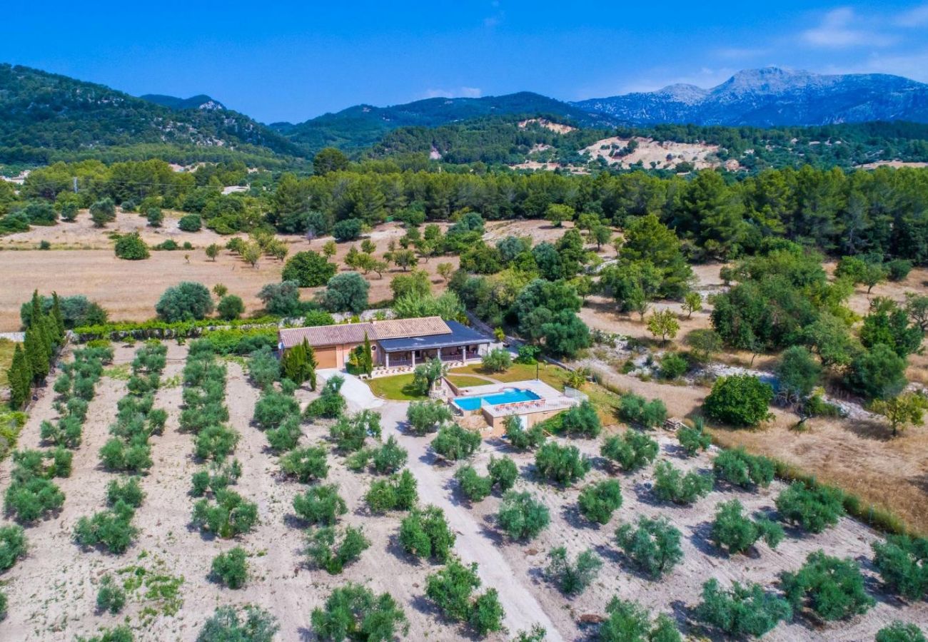 Finca in Selva - Landhaus in Mallorca Ses Comes mit Pool