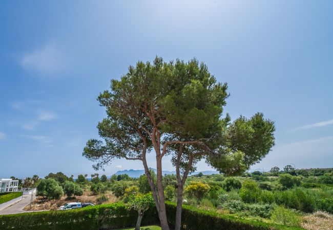 Ferienhaus in Pollensa - Poolhaus Villa Anna in Puerto Pollensa