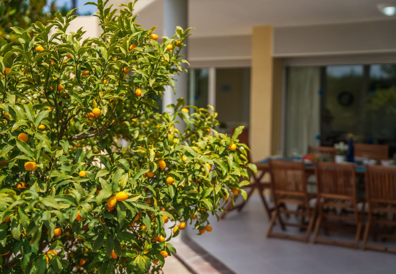 Ferienhaus in Pollensa - Poolhaus Villa Anna in Puerto Pollensa