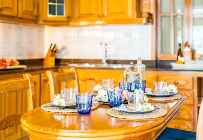 Finca in Lloseta - Finca im Zentrum Mallorcas Finca Alegre mit Pool Finca in Lloseta - Finca im Zentrum Mallorcas Finca Alegre mit Pool