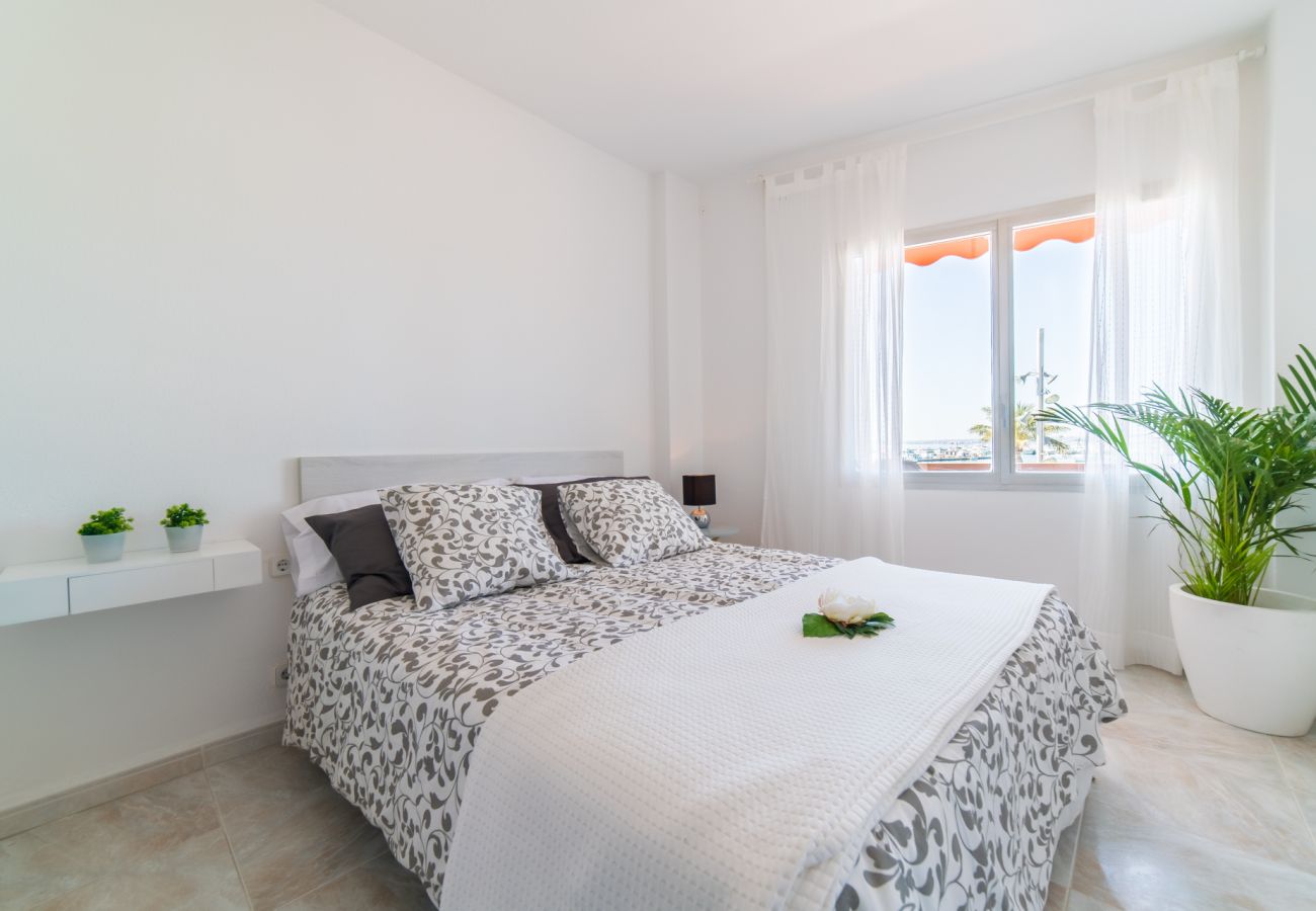 Ferienwohnung in Alcudia - Wohnung Maritimo Puerto de Alcudia in erster Linie