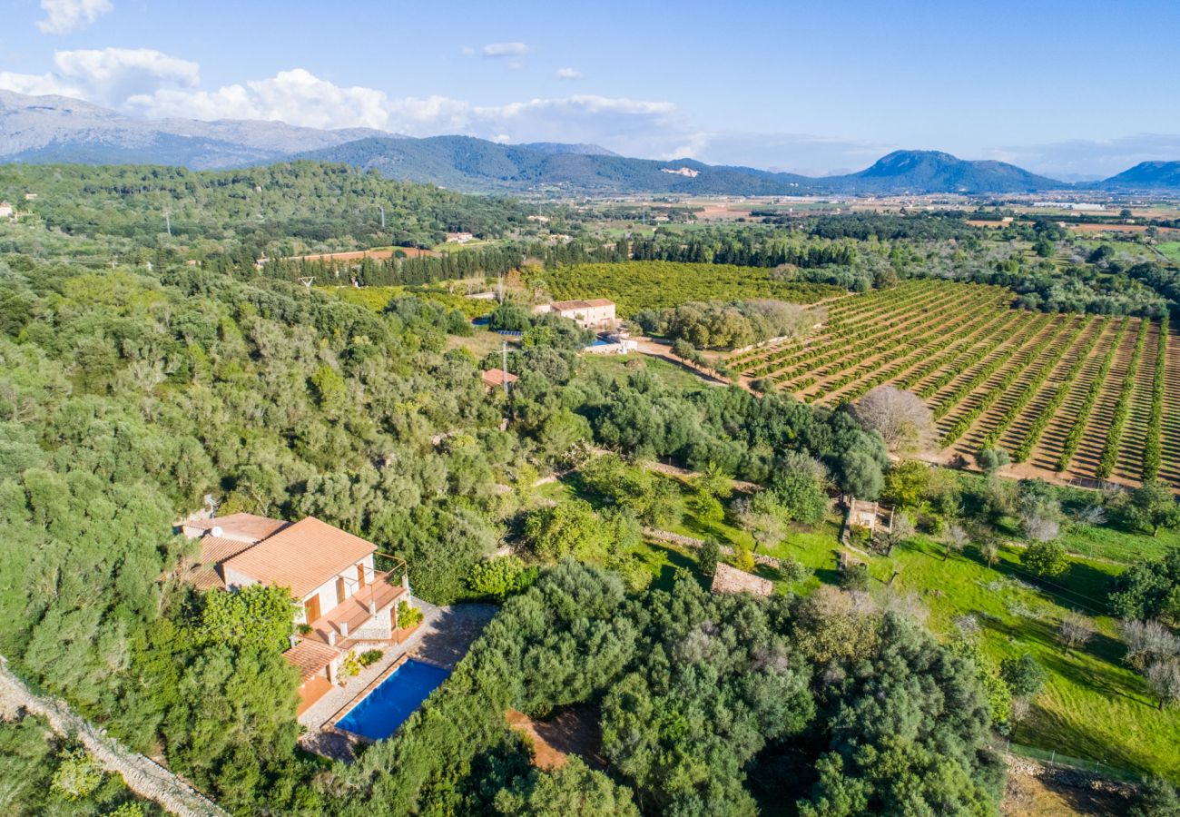 Finca in Buger - Ländliche Finca auf Mallorca Es Puchet mit Pool