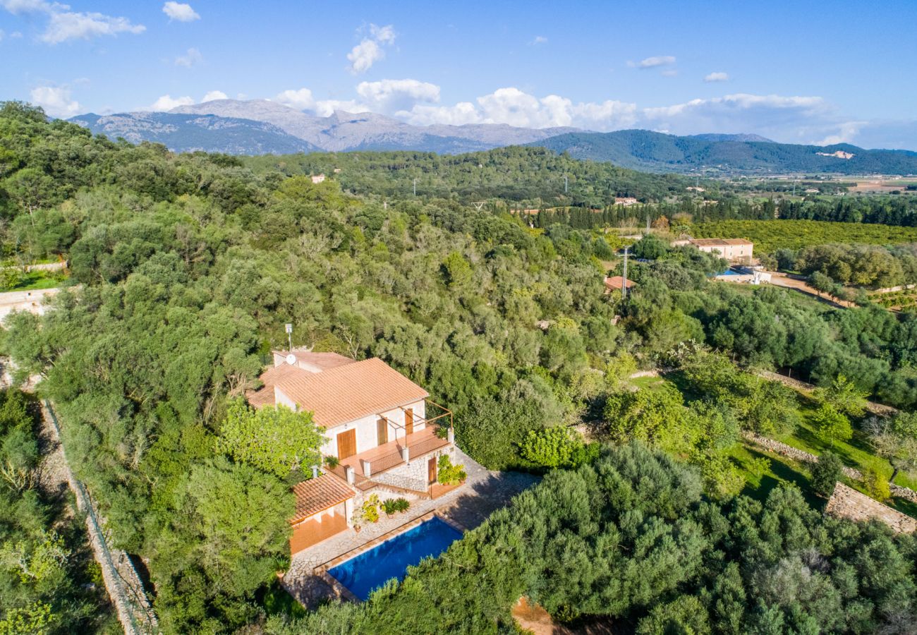 Finca in Buger - Ländliche Finca auf Mallorca Es Puchet mit Pool