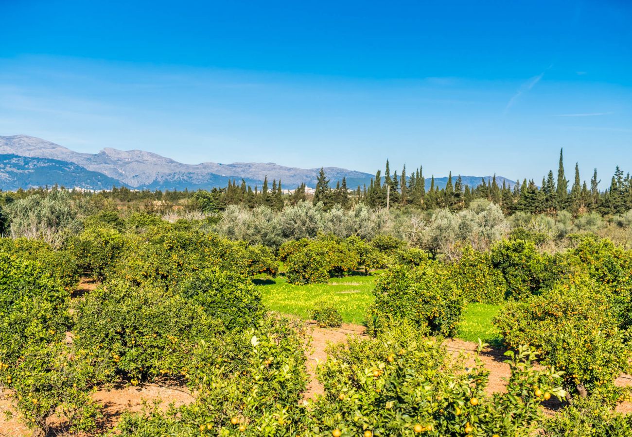 Finca in Inca - Ländliche Finca Can Rafelino mit Pool auf Mallorca