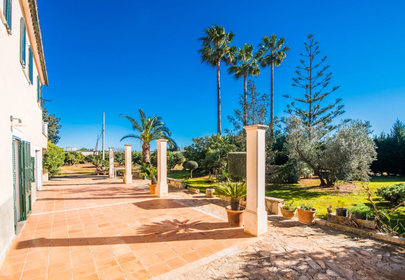 Finca in Inca - Ländliche Finca Can Rafelino mit Pool auf Mallorca
