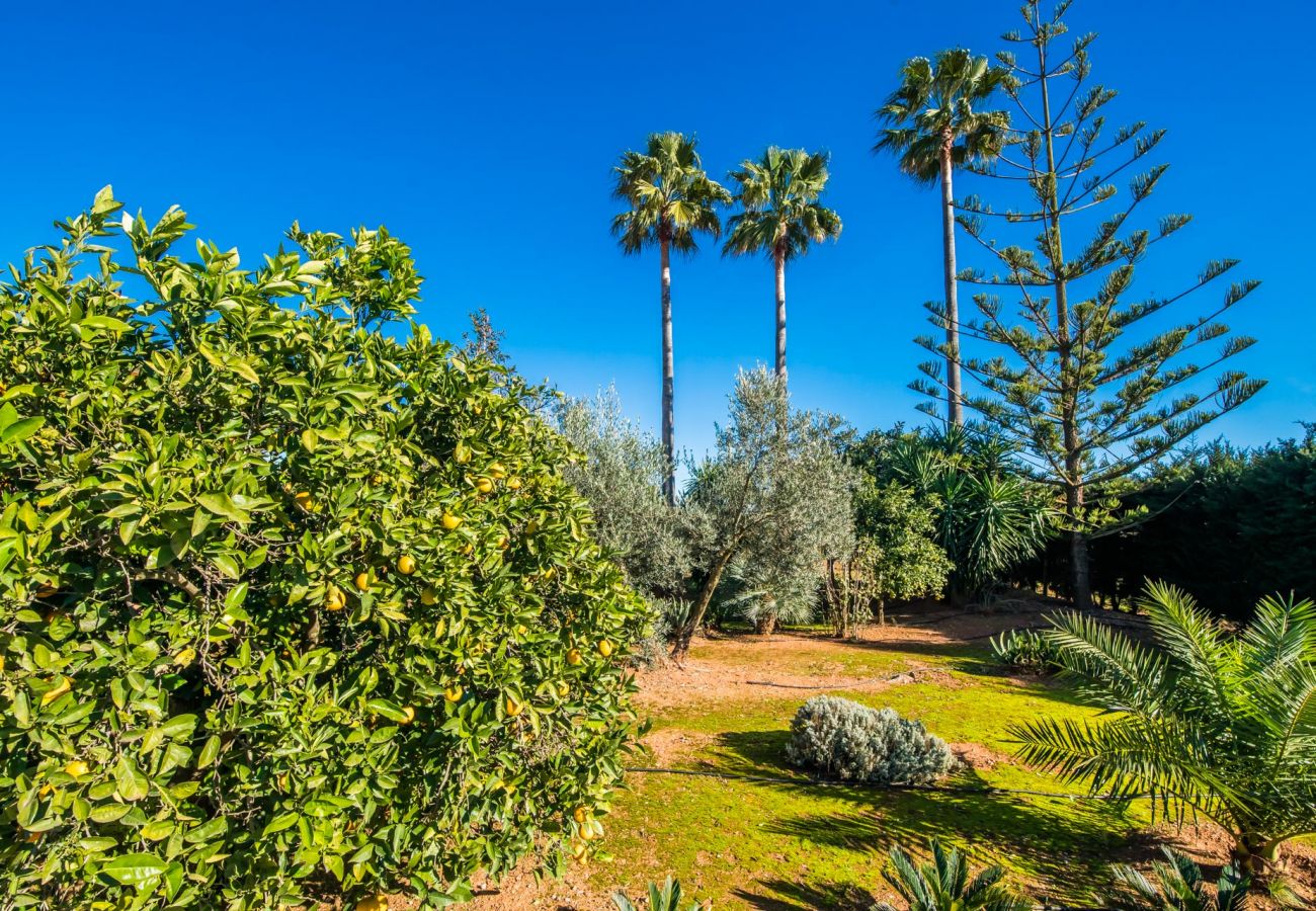 Finca in Inca - Ländliche Finca Can Rafelino mit Pool auf Mallorca