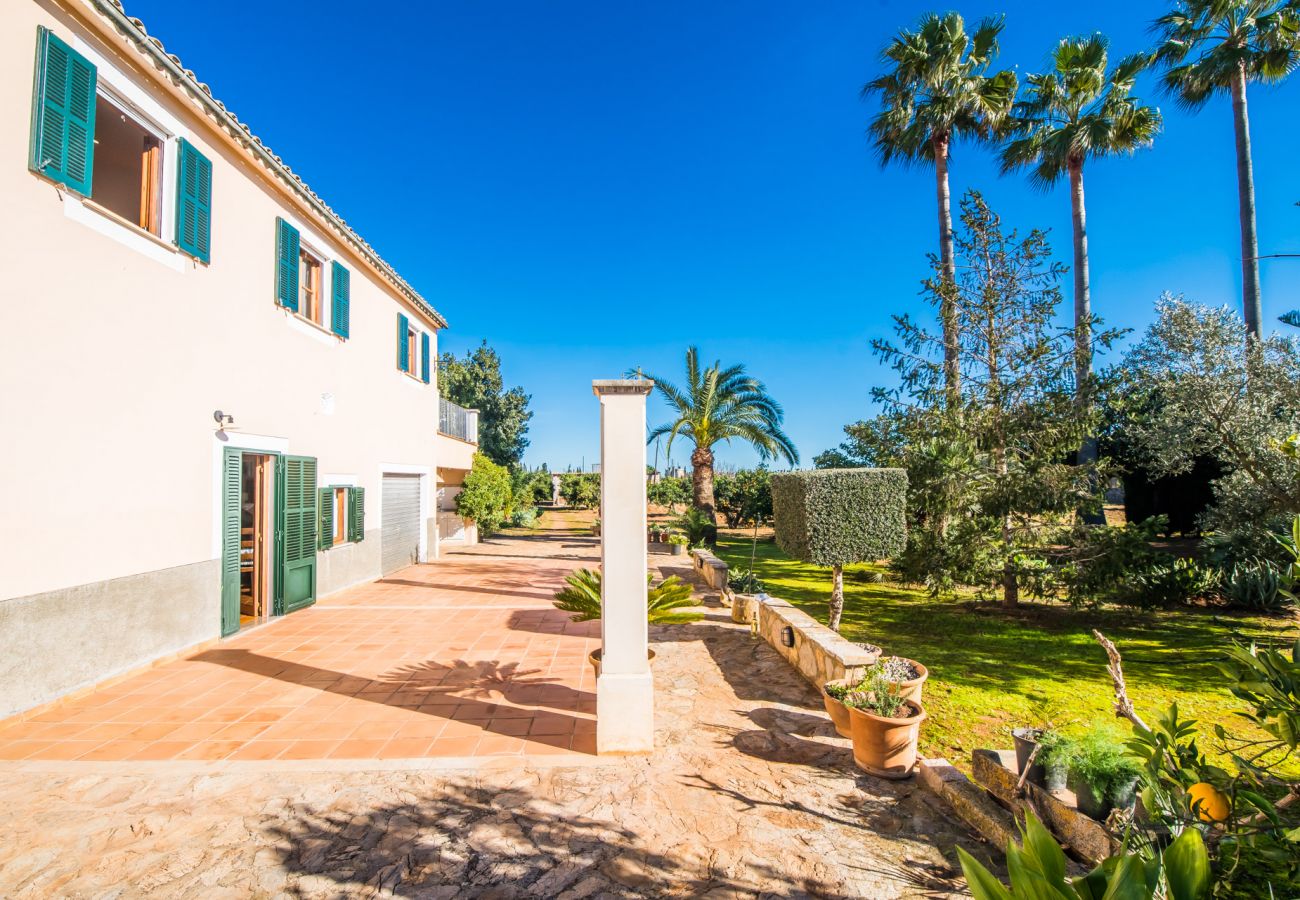 Finca in Inca - Ländliche Finca Can Rafelino mit Pool auf Mallorca