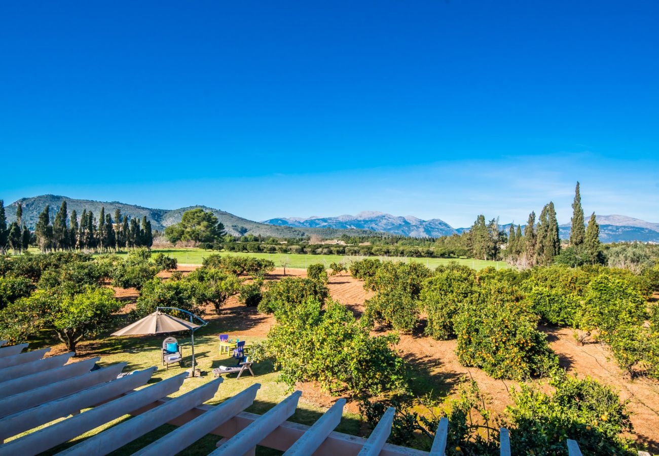 Finca in Inca - Ländliche Finca Can Rafelino mit Pool auf Mallorca