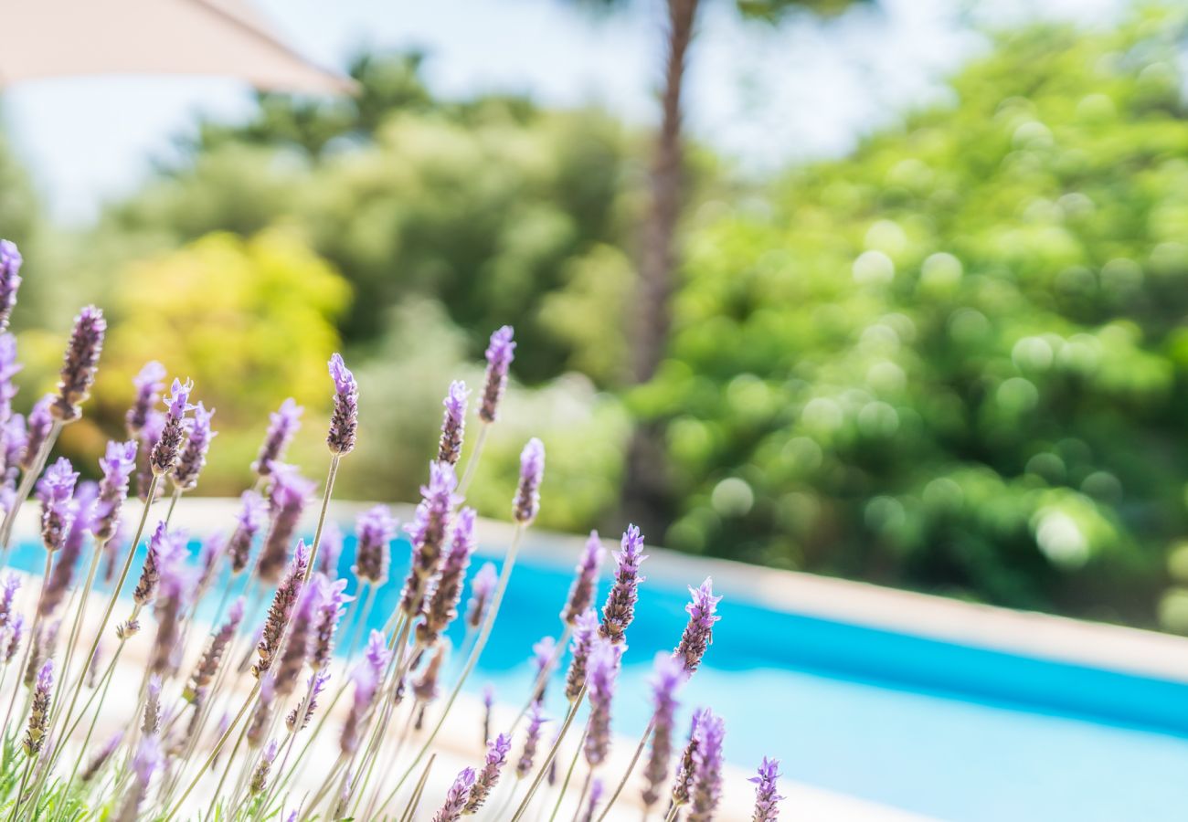 Ferienhaus in Crestatx - Haus mit Pool Villa Flores auf Mallorca mit Klimaanlage